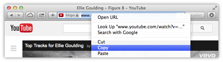 Щелкните правой кнопкой мыши на адресной строке браузера и скопируйте URL-адрес страницы в буфер обмена